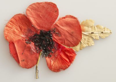 Learn why poppies are for remembrance, with one of the very first